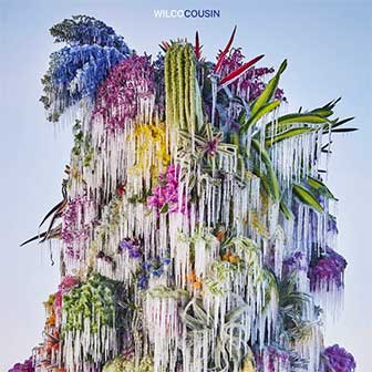 "Cousin" album by Wilco "Cousin" album by Wilco